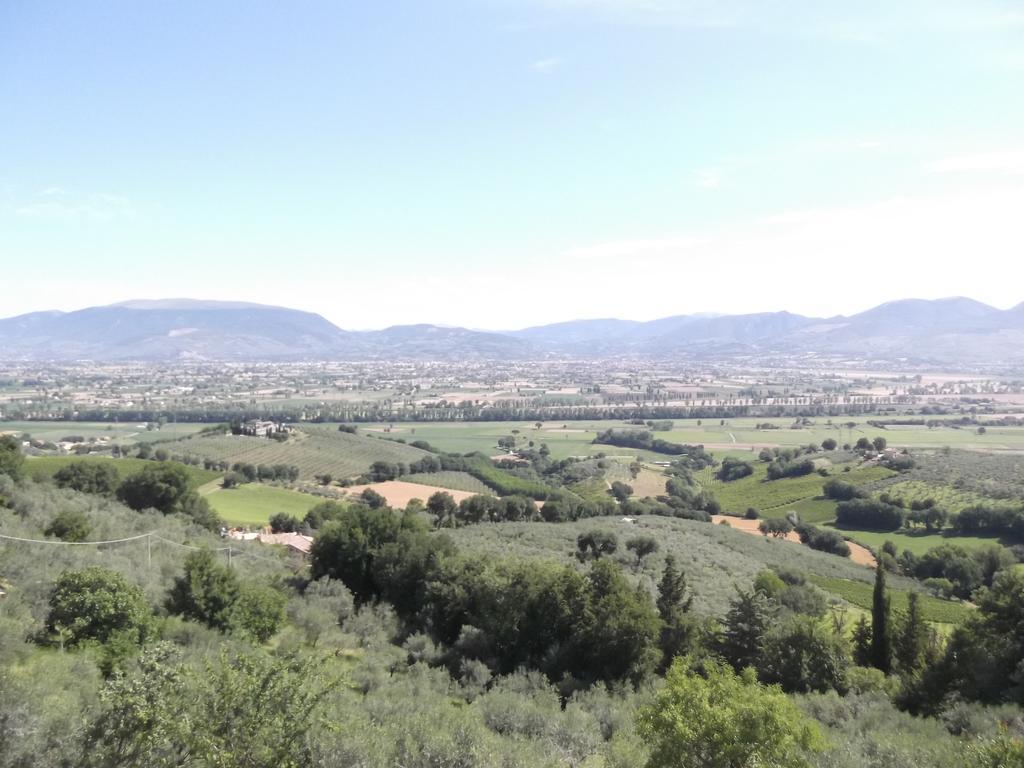A Casa Di Mi Appartamenti Vacanza 몬테팔코 객실 사진