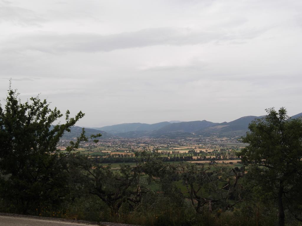 A Casa Di Mi Appartamenti Vacanza 몬테팔코 객실 사진