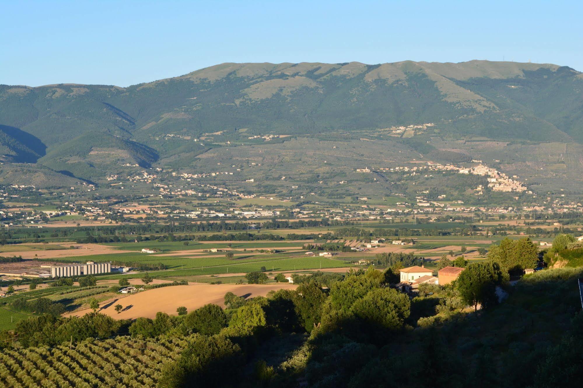 A Casa Di Mi Appartamenti Vacanza 몬테팔코 외부 사진